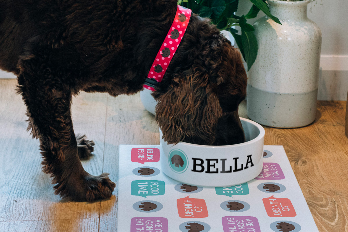 Bella drinking from a Personalised Dog Bowl