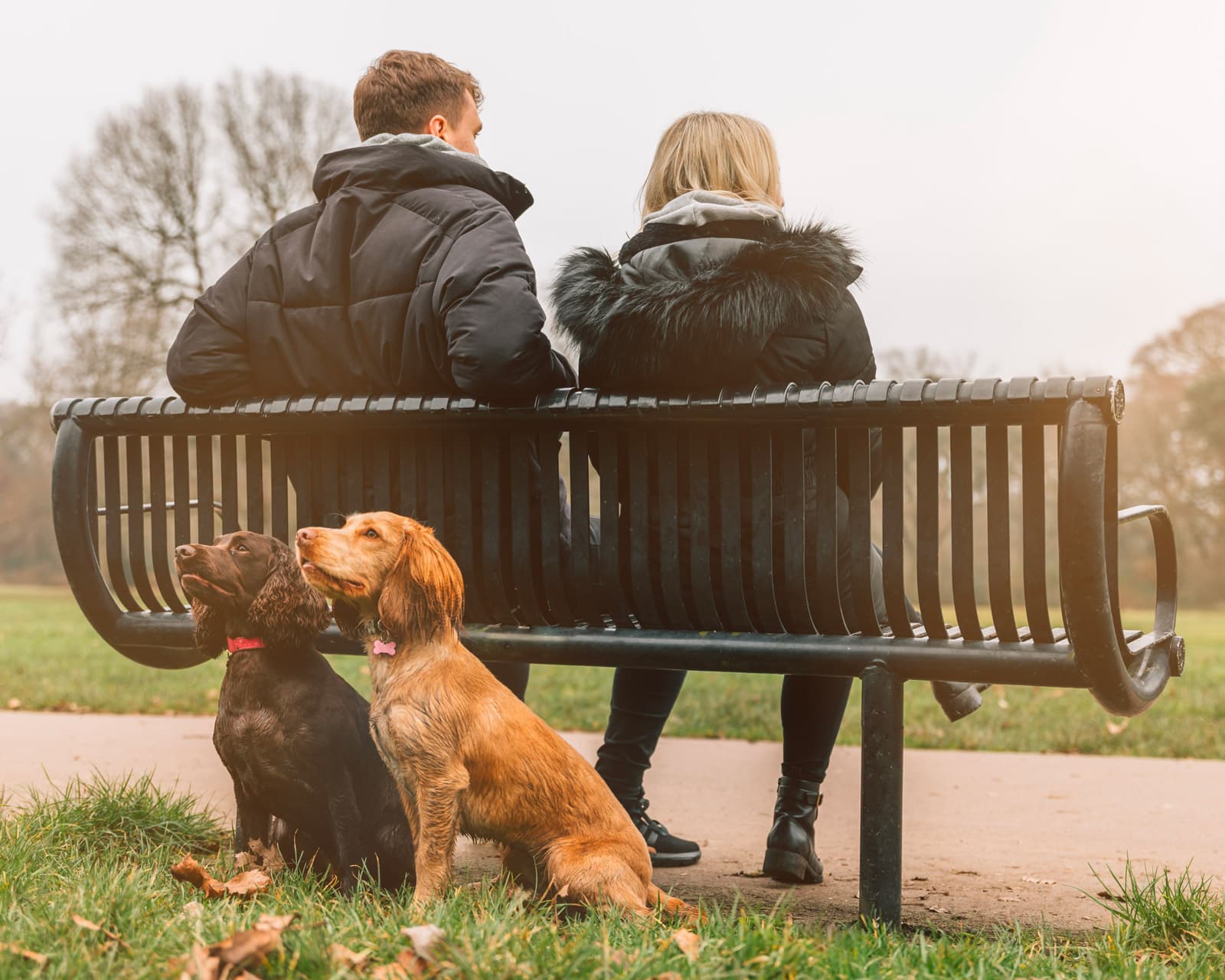 Dating in park with two dogs