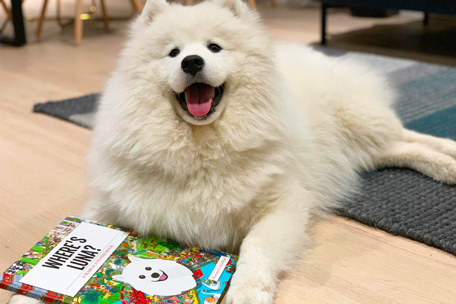 Luna posing with a Personalised Where's Book
