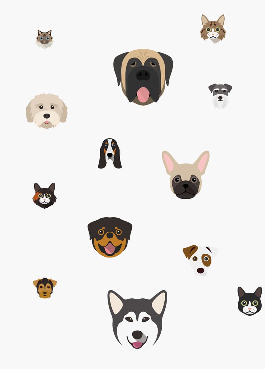 Selection of dog and cat icons