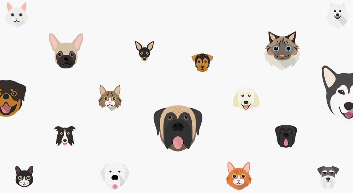 Selection of dog and cat icons