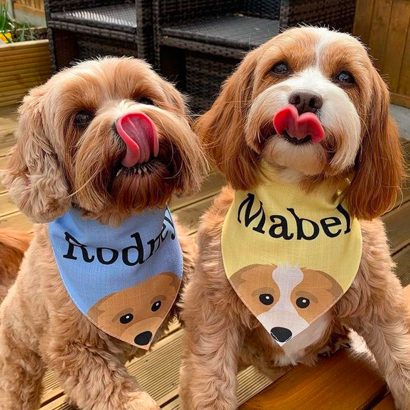 Rodney and Mabel in matching personalised bandanas