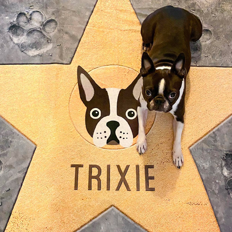 Trixie laying on her personalised blanket