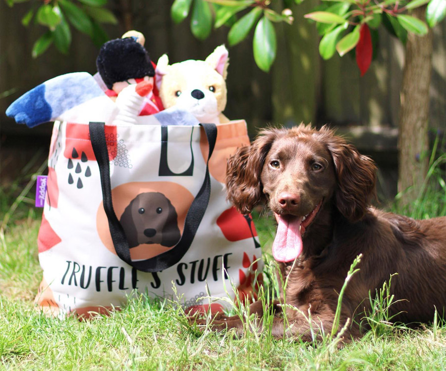 A Springer Spaniel sat next to a personalised bag