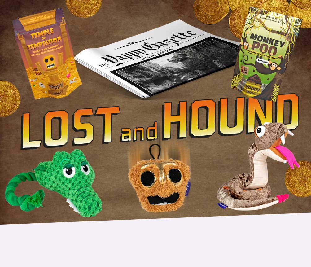 Lost and Hound Box