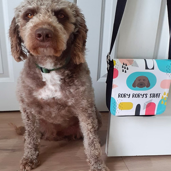 Poodle Mixbreed posing with his personalised walking bag