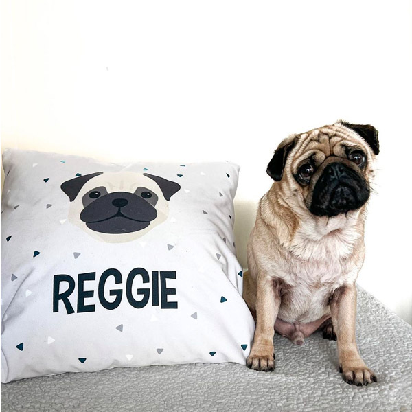 Pug with personalised Yappy Pattern Cushion 