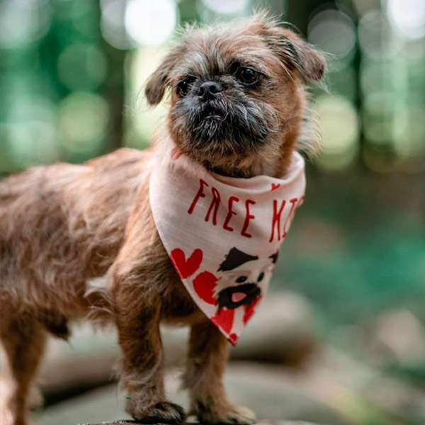 pugzu wearing his personalised 'free kisses' bandana