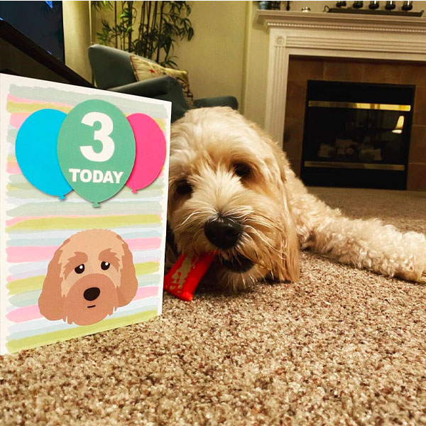 Doodle celebrating with his personalised birthday card