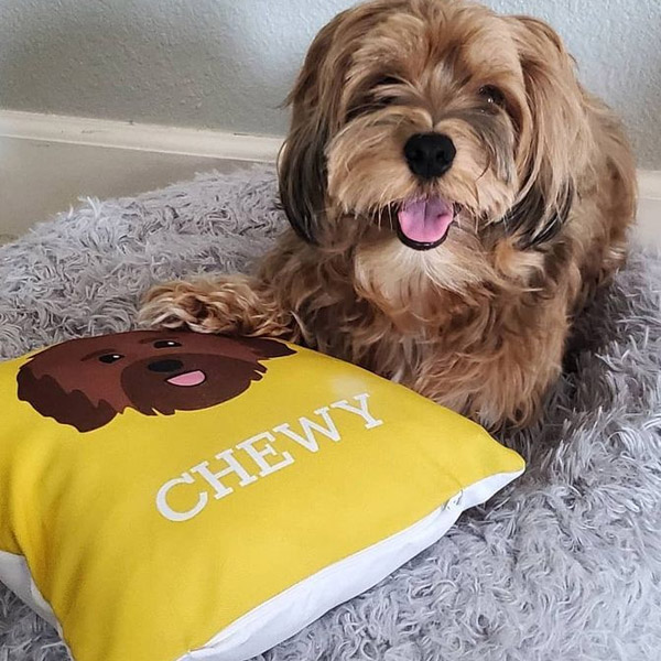 Chewy with a yellow Personalised Yappicon Cushion