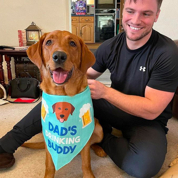 Red Labrador wearing his 'drinking buddy' bandana with his dad