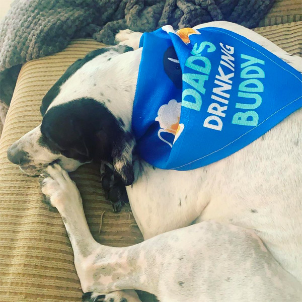 Dog wearing his personalised 'drinking buddy' bandana