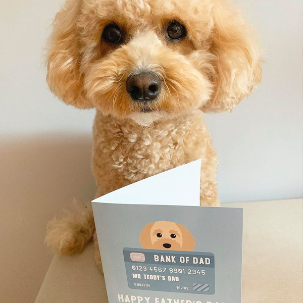cavapoochon with her 'bank of dad' fathers day greeting card