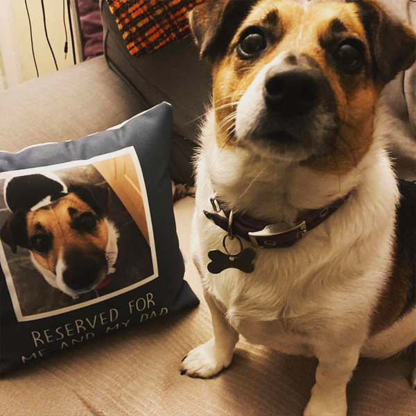 the perfect dog dad fathers day gift, personalised dog cushion