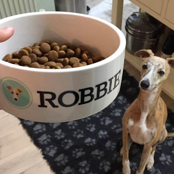 Robbie being fed with his Personalised Icon Dog Bowl