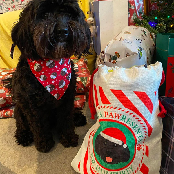 Humphrey with his personalised Christmas Santa Sack