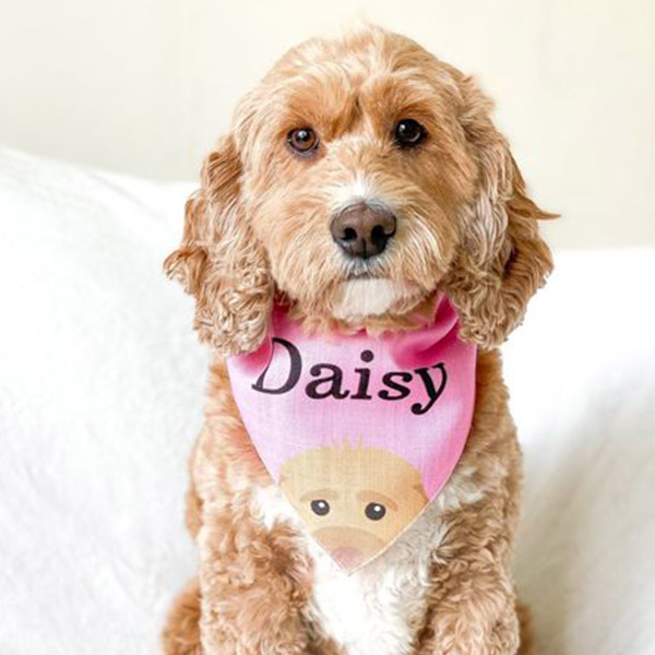 Daisy proudly wearing her Personalised Yappy Bandana