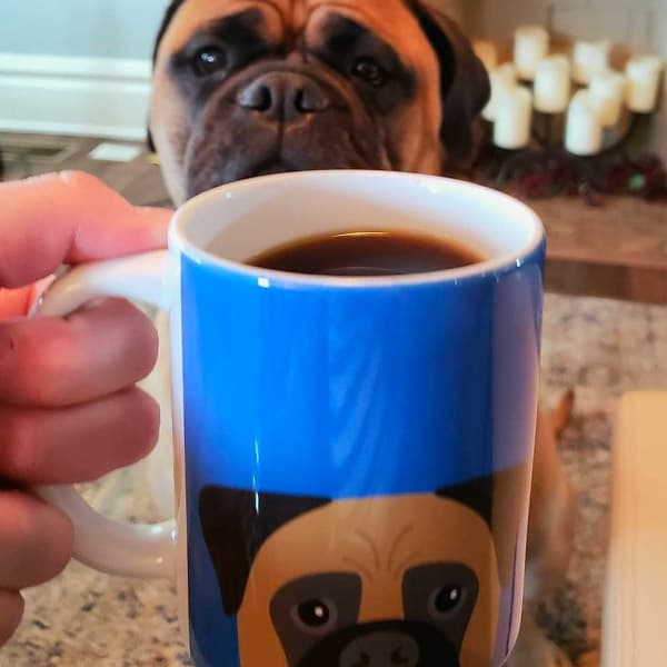 Holding Personalised Boxer Dog Mug