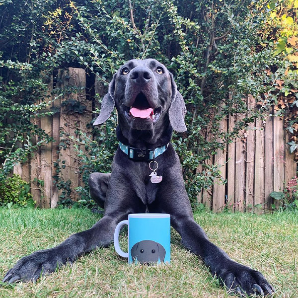 Blue Posing in the garden with Personalised Yappy Mug