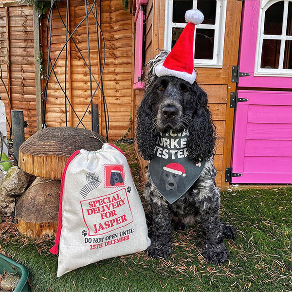 Jasper with his Personalised Santa Sack