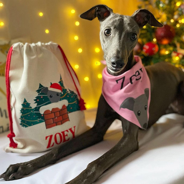 Greyhound with Personalised Santa Sack