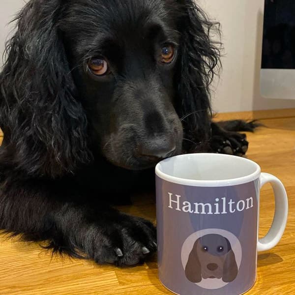 Personalised Mug with Hamilton's name and icon