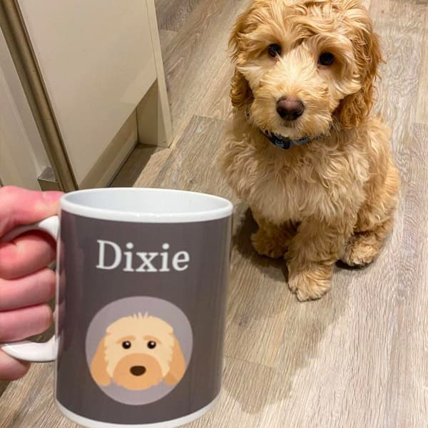 Personalised Mug with Dixie's name and icon