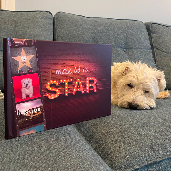 Max with his Personalised Dog's a Star book