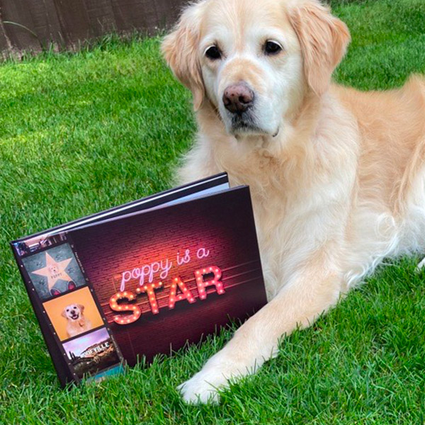 Poppy with her Personalised Dog's a Star book