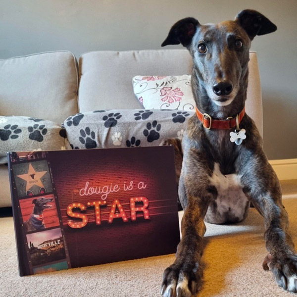 Dougie sitting proudly next to his Personalised Dog's a Star book