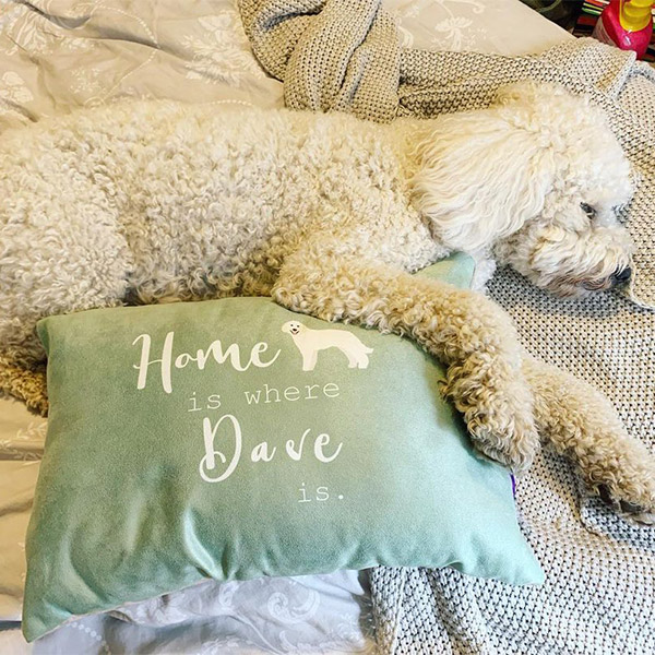 Dave with his personalised Yappy Home Cushion