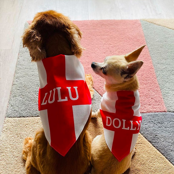 Dogs with matching England Flag Bandana