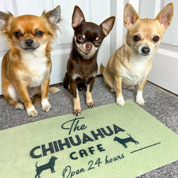 Chihuahua Cafe feeding Mat 