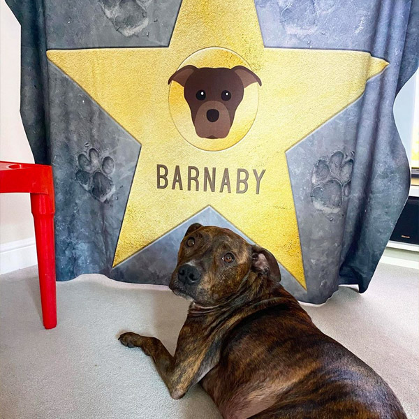 Brindle Dog with Personalised Star of Fame Blanket