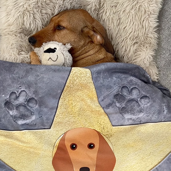 Sleepy Dog with Personalised Star of Fame Blanket