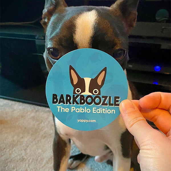 Pablo with Personalised Barkboozle Card Game