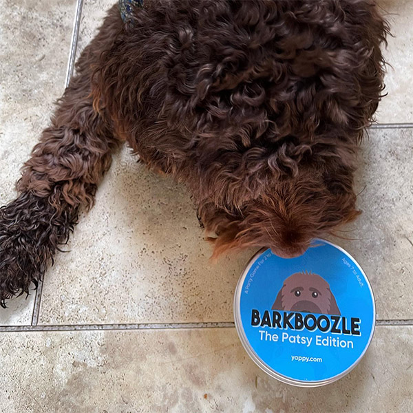 Patsy with Personalised Barkboozle Card Game