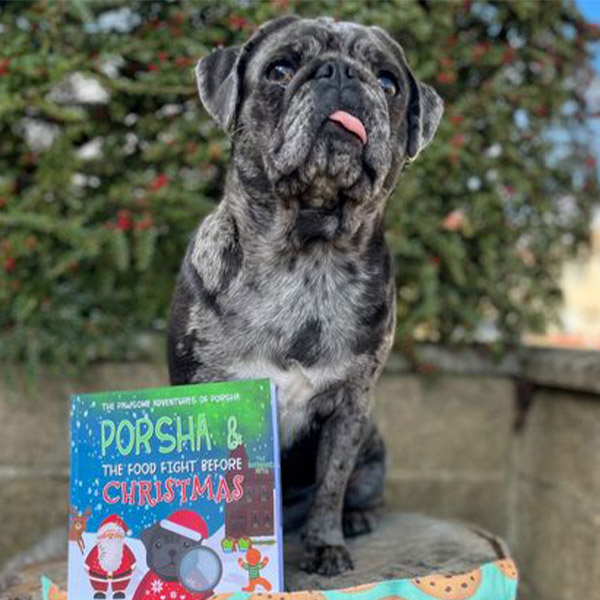 Bulldog with Personalised Christmas Story Book