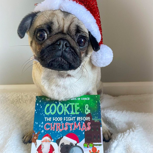 Pug with Personalised Christmas Story Book