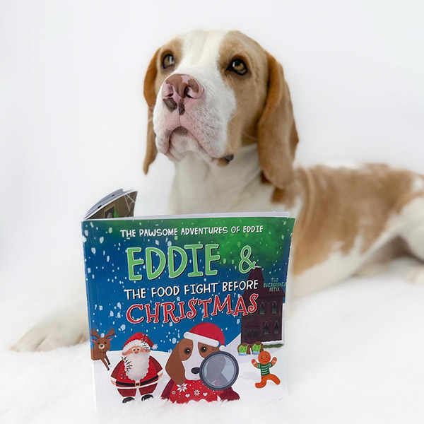 Eddie the Beagle with Personalised Christmas Story Book