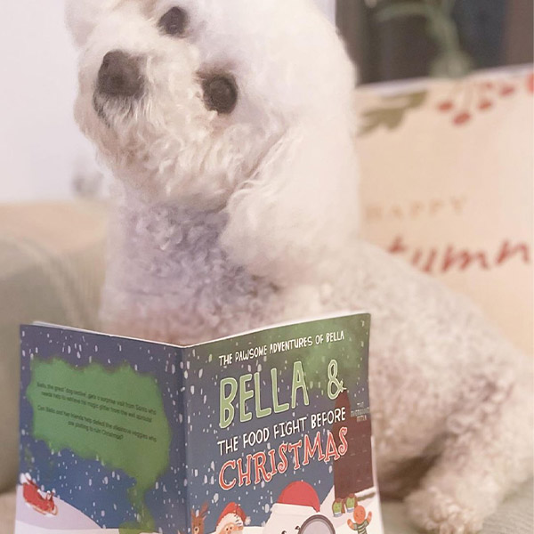 Bichon Frise with Personalised Christmas Story Book