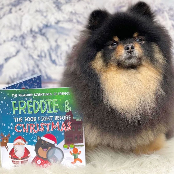 Pomeranian with Personalised Christmas Story Book