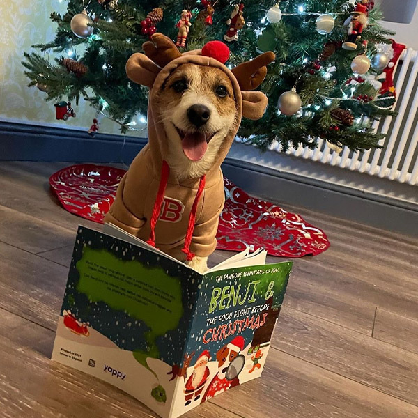 Jack Russell with Personalised Christmas Story Book