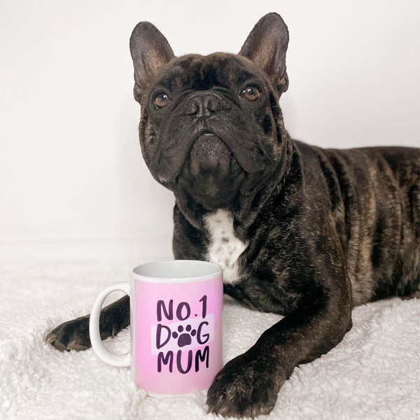 Truffle the dog posing with their 'No.1 Dog Mum' Mug