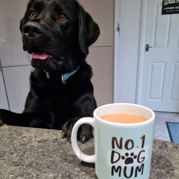 Sully the Lab posing with their 'No.1 Dog Mum' Mug