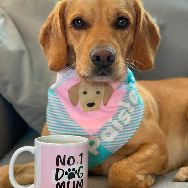 Cockerdor posing with their 'No.1 Dog Mum' Mug