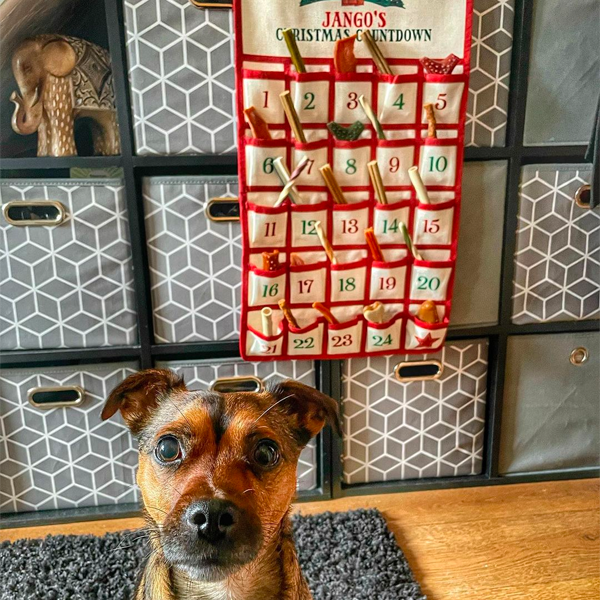 Jug excited about his personalised Christmas Advent Calendar