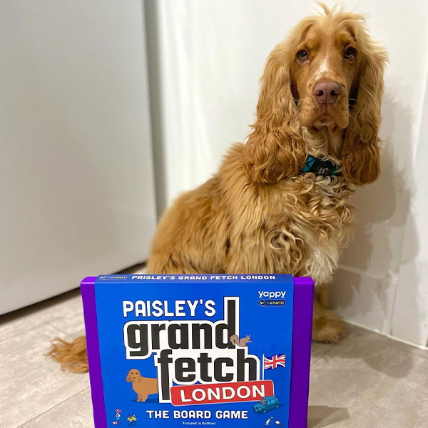 Cocker Spaniel with Personalised 'Grand Fetch London' Board Game