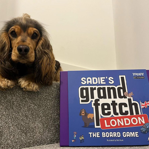 Show Cocker Spaniel with Personalised 'Grand Fetch London' Board Game