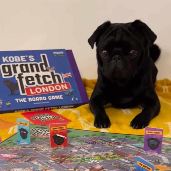 Black Pug with personalised 'Grand Fetch London' Board Game